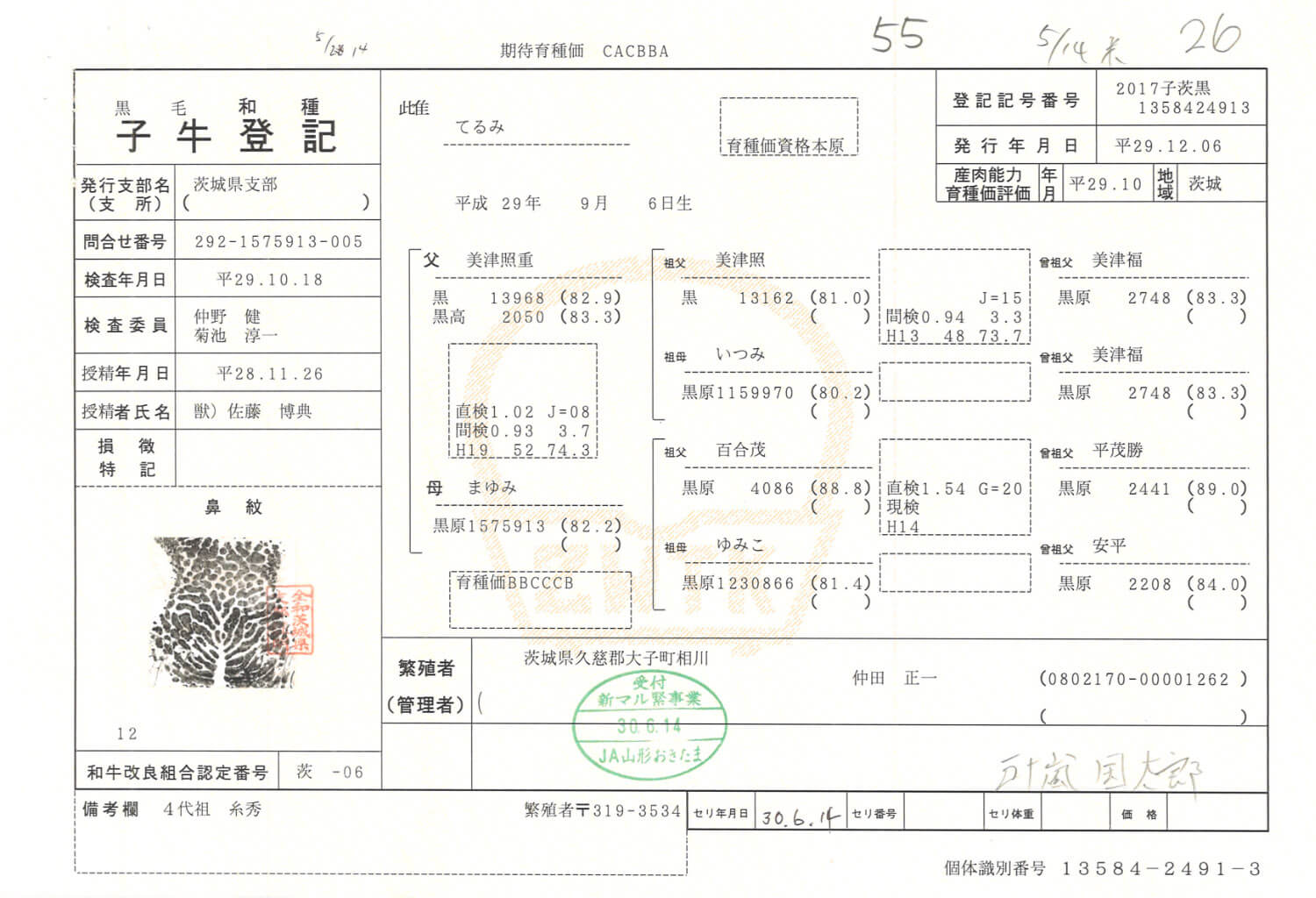 子牛登記