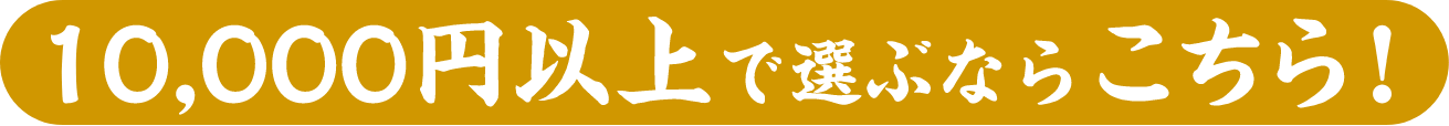 10,000円以上で選ぶならこちら！