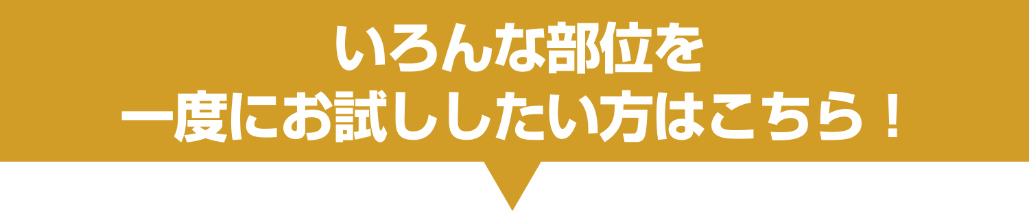 いろんな部位を一度にお試ししたい方はこちら！