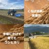【食味値８３ポイント！その名も「くろげ米」！】山形県産コシヒカリ10ｋｇ